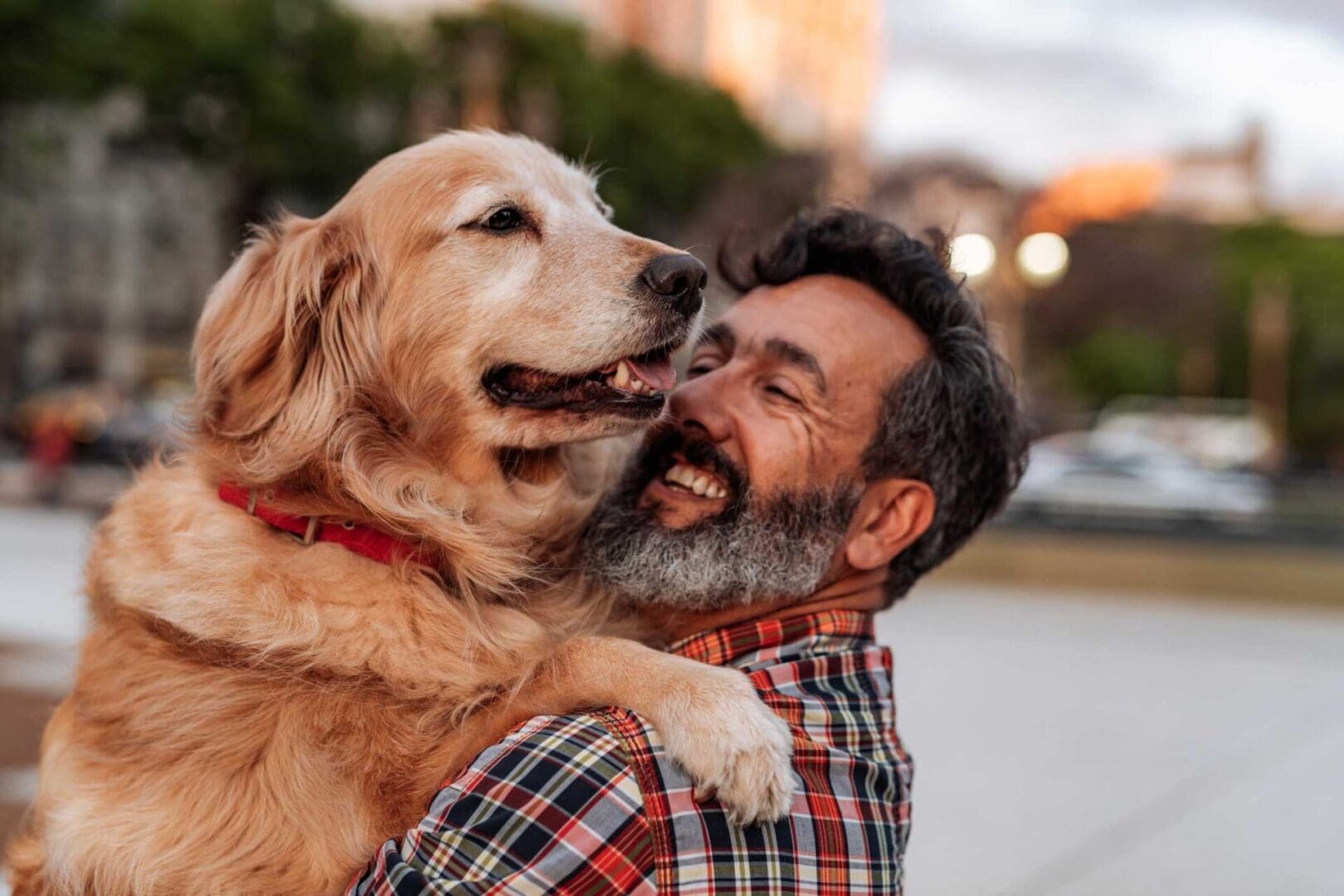 9 vantagens de adotar um pet na aposentadoria