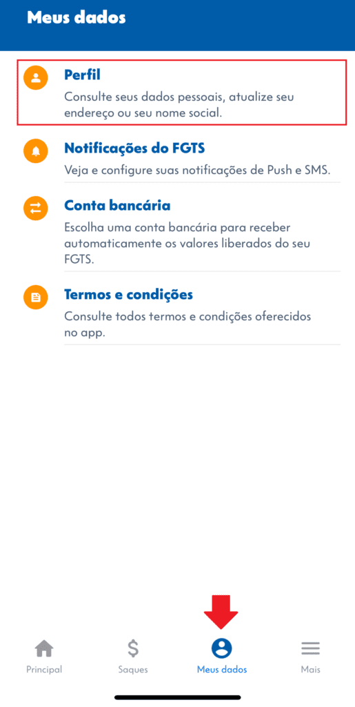 Print do aplicativ o do FGTS no menu de "Meu Perfil"