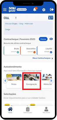 tela-app-sou-gov